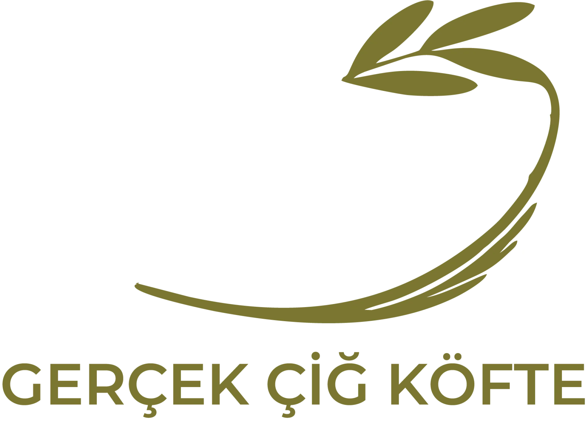 Efso Logo